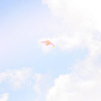 奥特曼传奇英雄2下载手机版